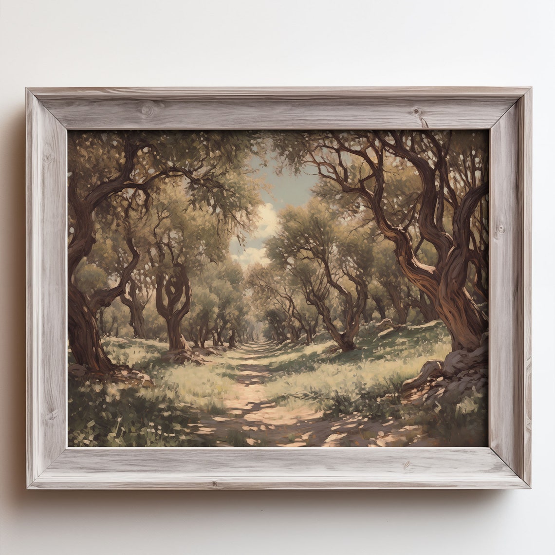 Olive Grove Path Dappled Light Twisted Trees Sunlit Trail Poster