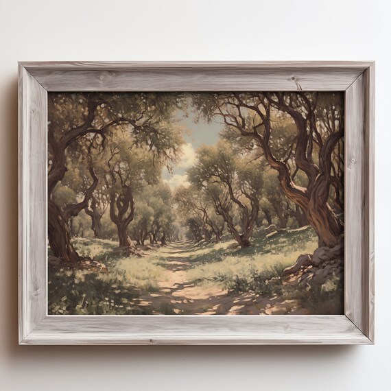 Olive Grove Path Dappled Light Twisted Trees Sunlit Trail Poster
