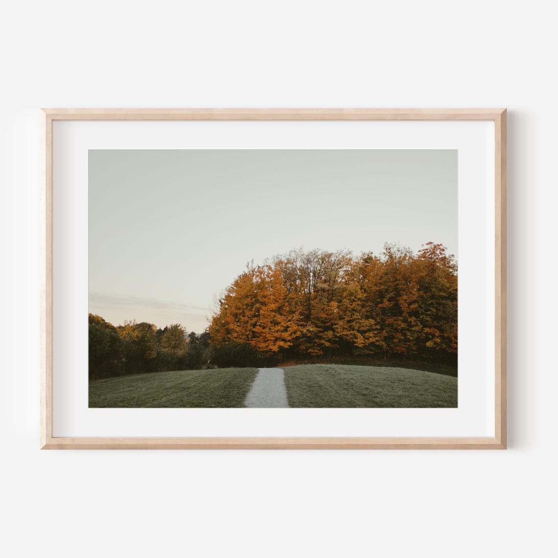 Walking Path Through a Meadow Leading to Autumn Forest Poster