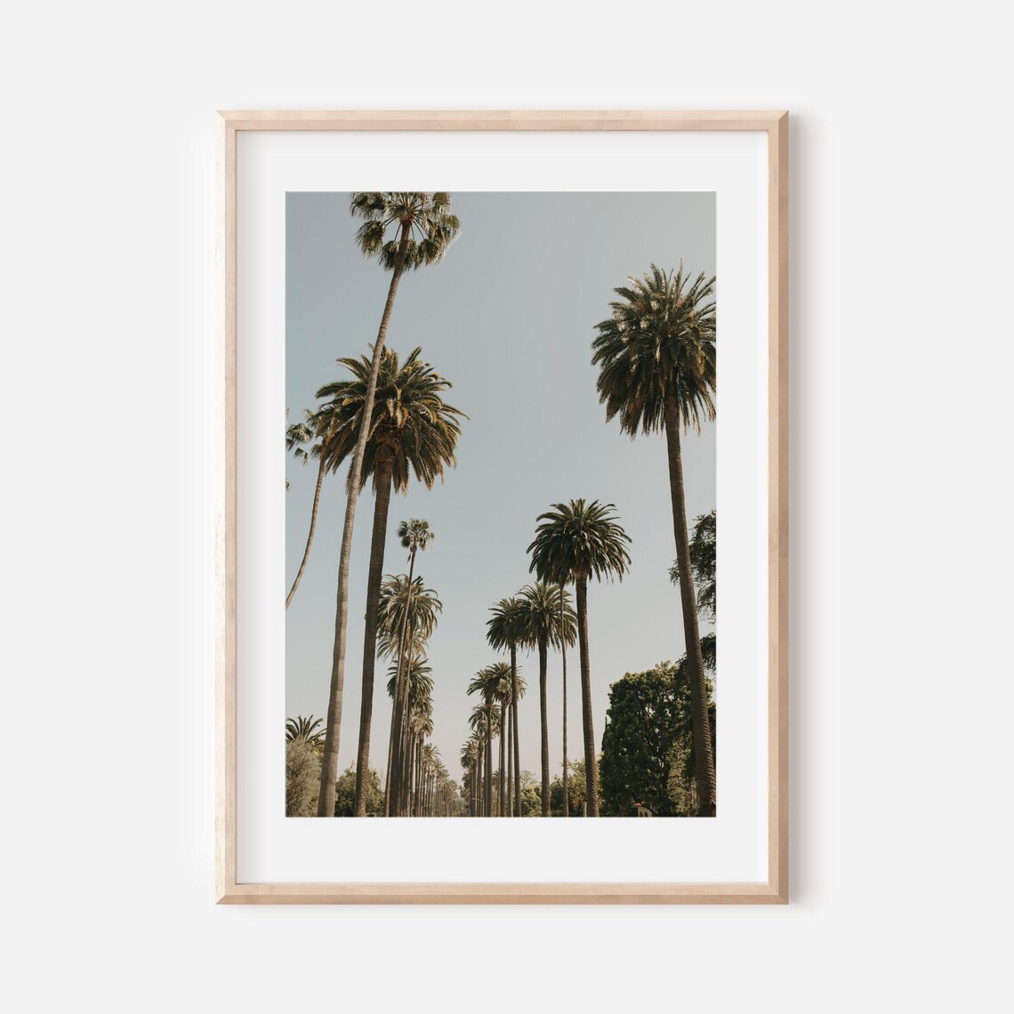 Los Angeles Photography Beverly Hills Hotel Wall Art Iconic Travel Photography Palm Tree Print Luxury Decor Gift For Art Lovers