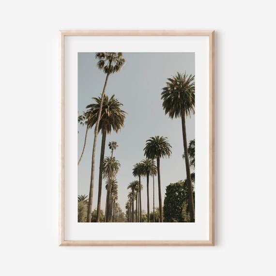 Los Angeles Photography Beverly Hills Hotel Wall Art Iconic Travel Photography Palm Tree Print Luxury Decor Gift For Art Lovers