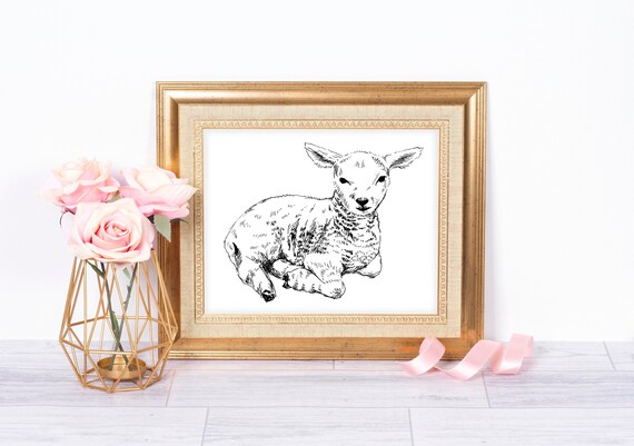 Lamb Ink Drawing Black and White Cute Sheep Farm Nursery Poster