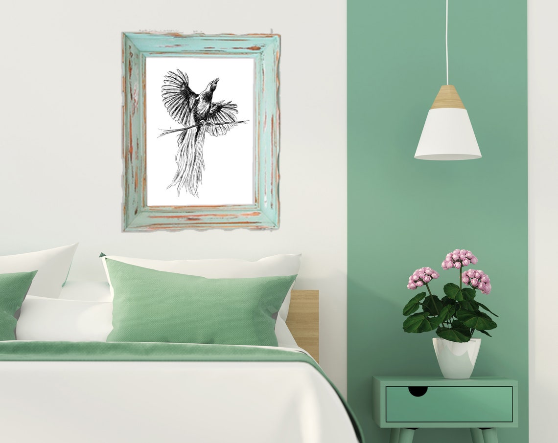 Bird Of Paradise Long Tail Feather Ink Sketch Nature Wall Art