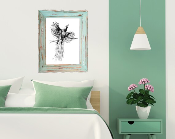 Bird Of Paradise Long Tail Feather Ink Sketch Nature Wall Art
