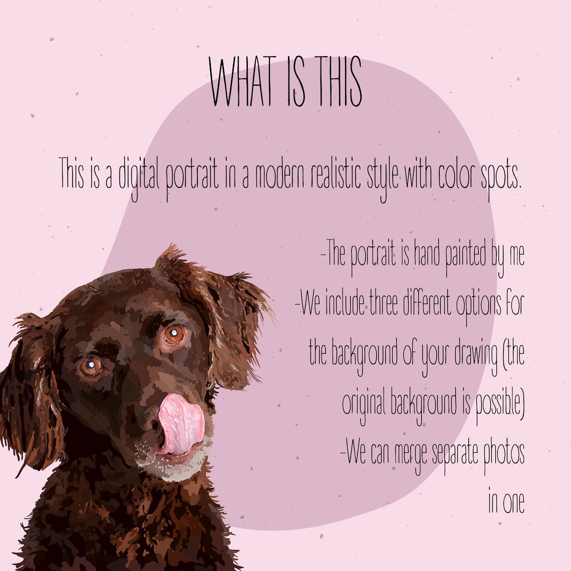 Animal Portrait From Photo, Pet Memorial Gift - Image 4