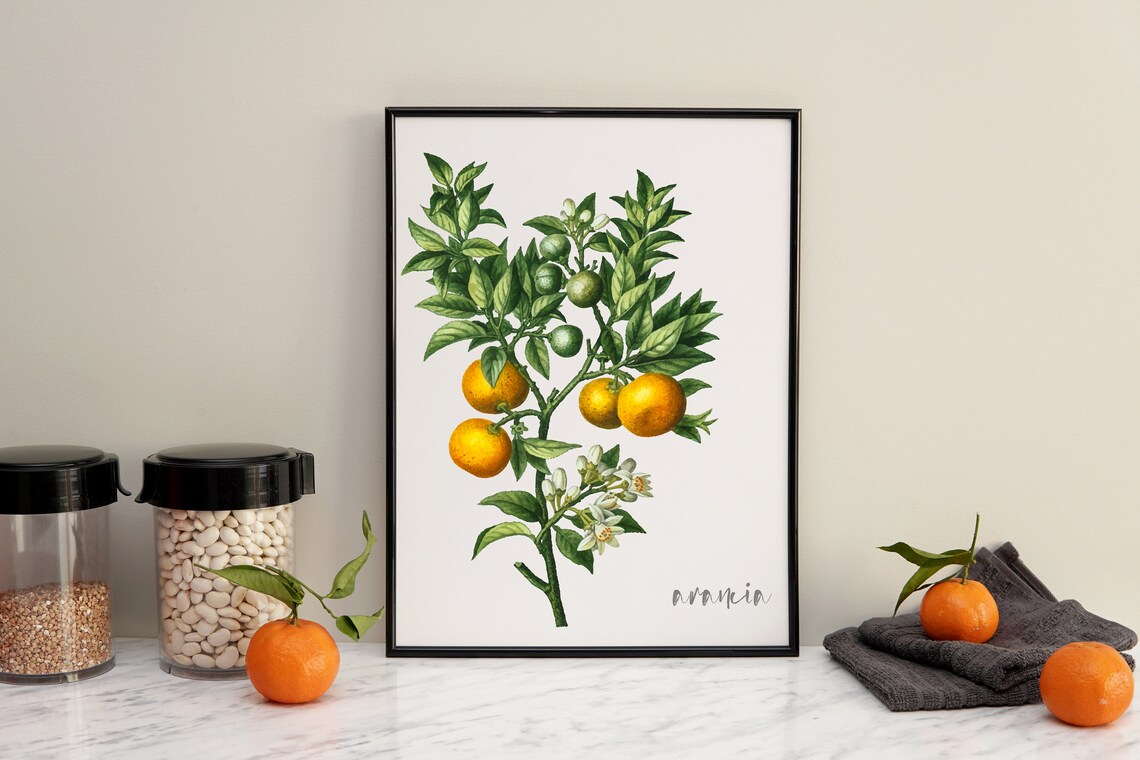 Orange Tree Botanical Watercolor Art Print