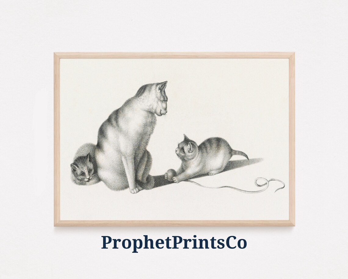 Mother Cat With Kittens Vintage Pencil Sketch Tender Moment Poster
