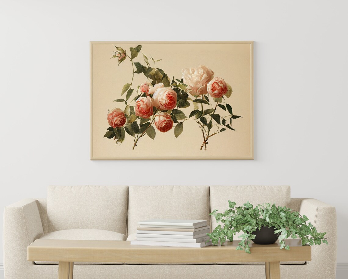 Vintage Pink Rose Botanical Illustration Cream Background Art Poster - Image 3