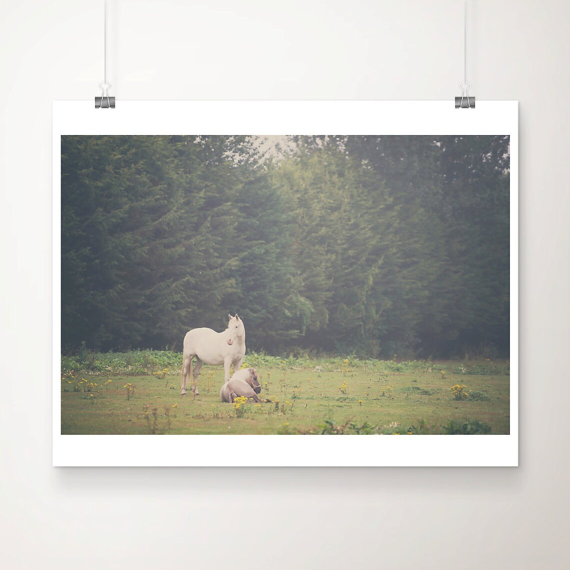 White Horse Photograph, Rustic Farmhouse Art Print