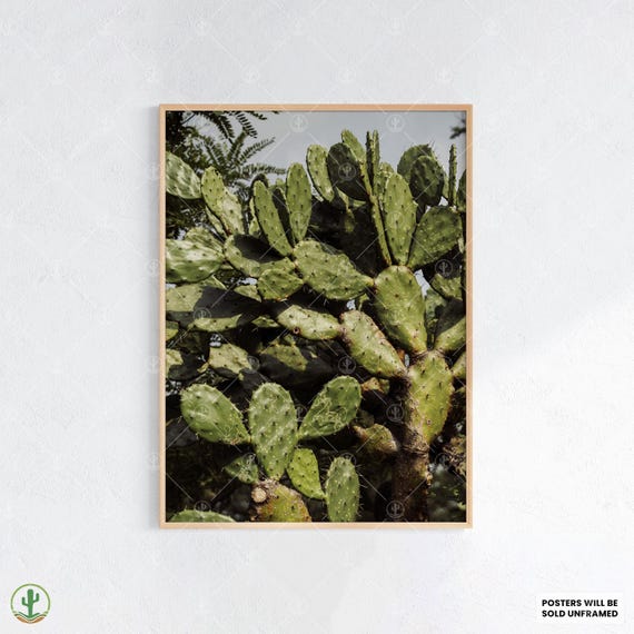 Prickly Pear Cactus Print Lush Green Desert Botanical Wall Art Closeup Nature Poster For Rustic Or Boho Decor