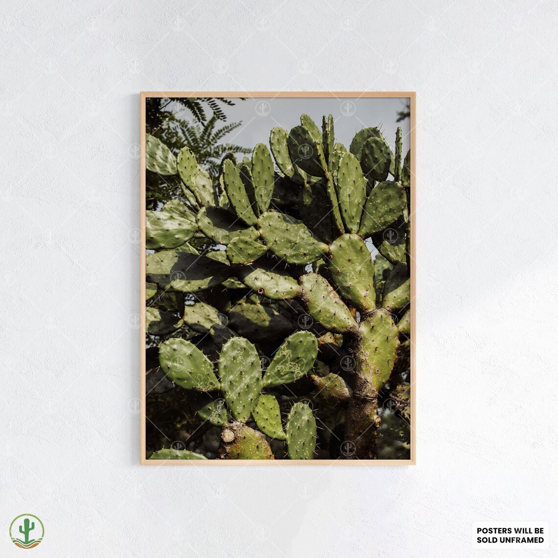 Prickly Pear Cactus Lush Green Botanical Desert Plant Photography Print