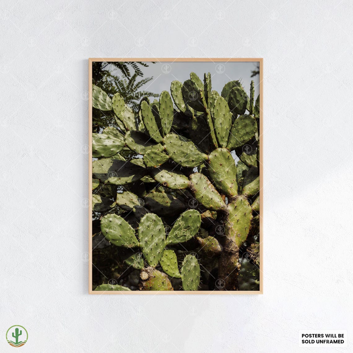 Prickly Pear Cactus Print Lush Green Desert Botanical Wall Art Closeup Nature Poster For Rustic Or Boho Decor