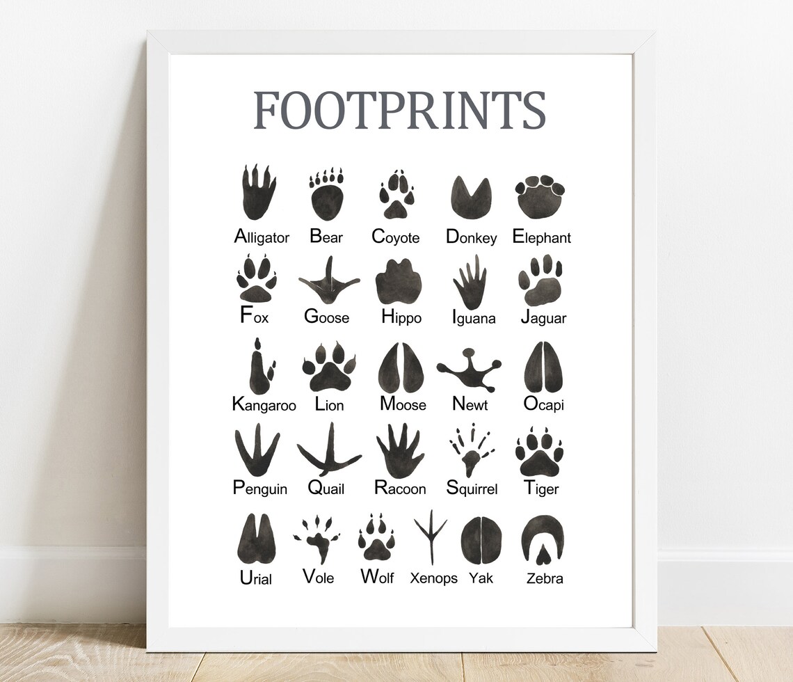 Animal Footprints ABC Poster, Watercolor Alphabet