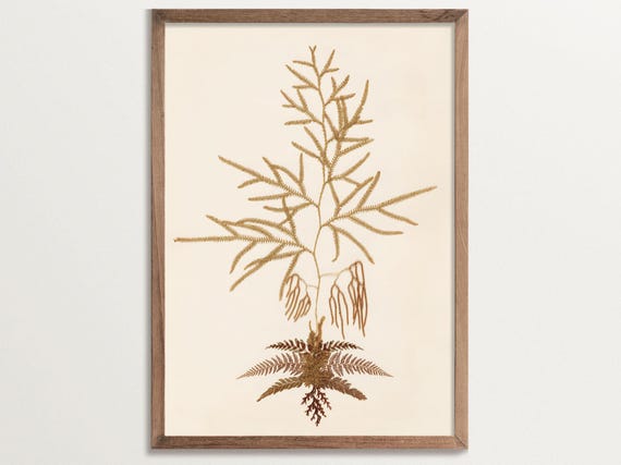Vintage Fern Art Print No 05, Botanical Poster
