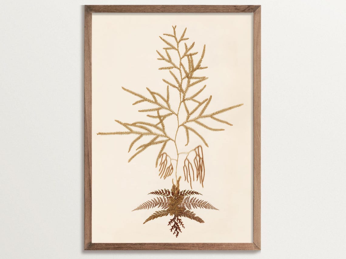 Vintage Fern Art Print No 05, Botanical Poster