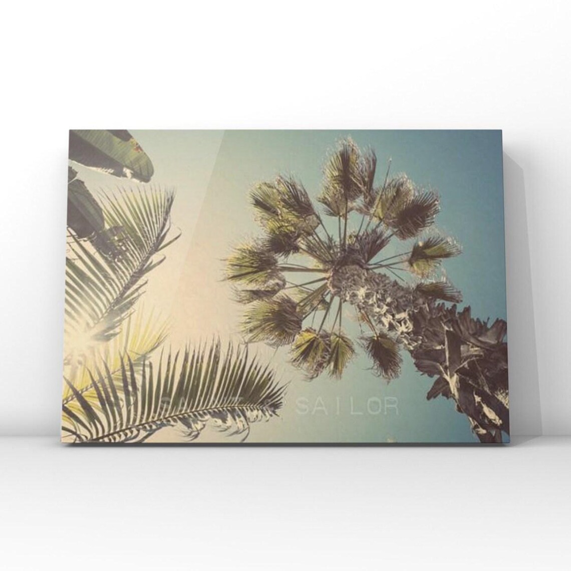 Palm Tree Sunburst Surf Decor Travel Poster