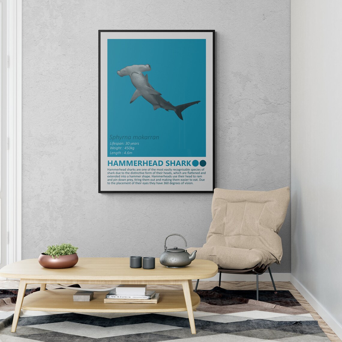 Hammerhead Shark Fact Sheet, Nautical Theme - Image 2