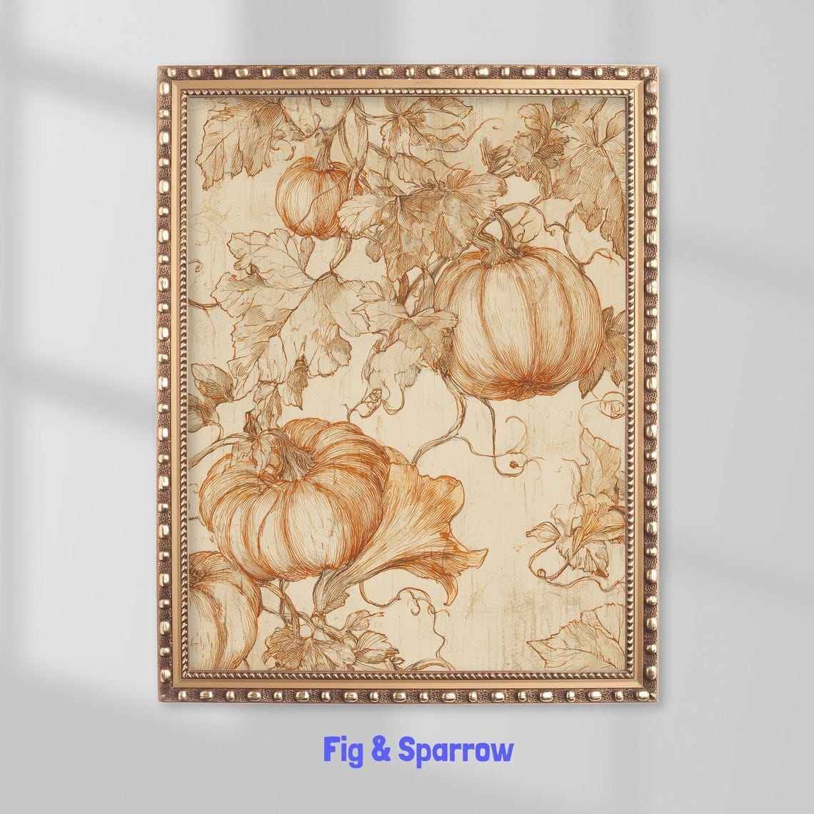 Vintage Pumpkin Botanical Engraving Autumn Harvest Sketch Art Print