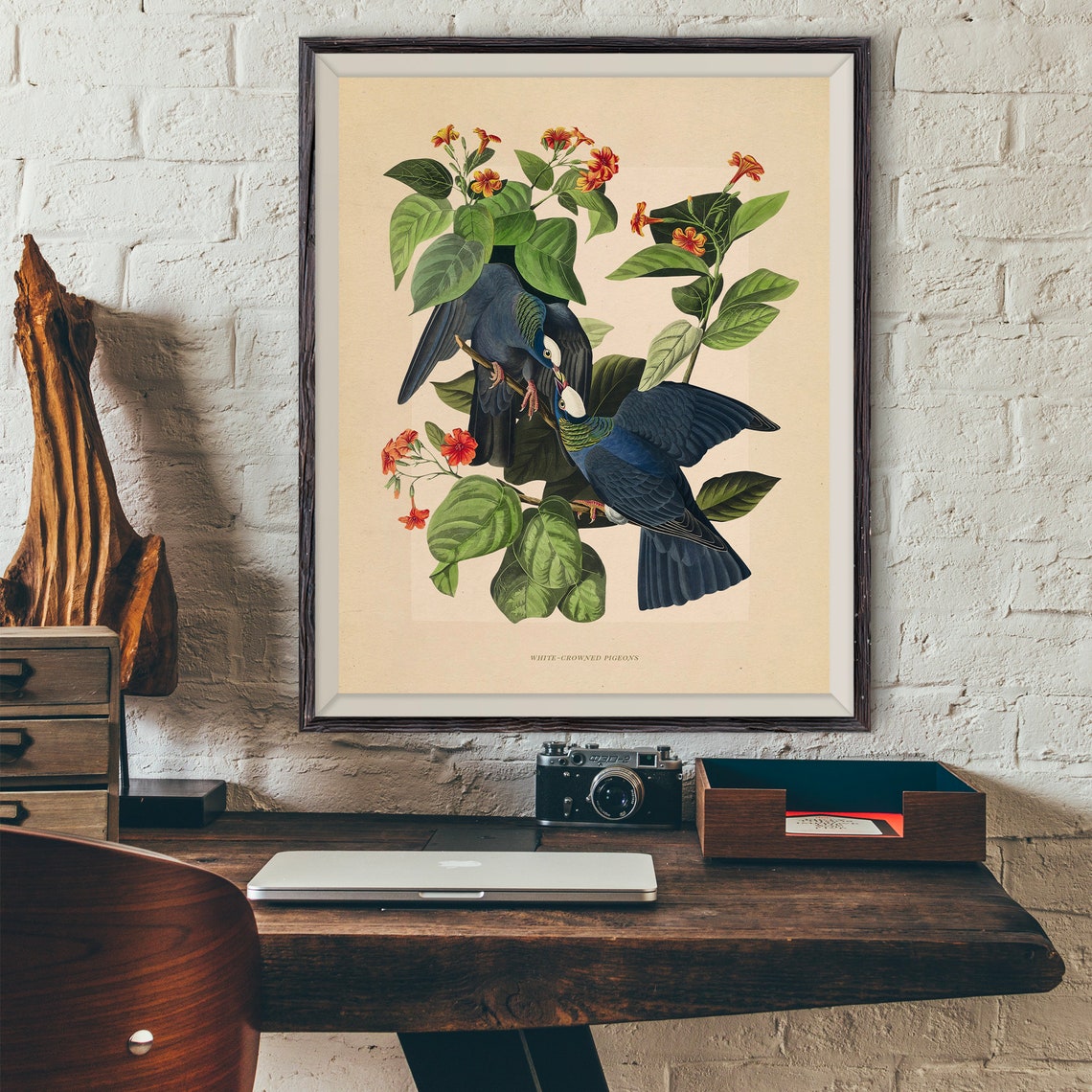 White Crowned Pigeons Vintage Bird Illustration Audubon Style Poster