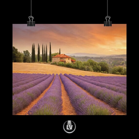 Lavender Fields Sunset Rows Stone Farmhouse Countryside Nature Poster