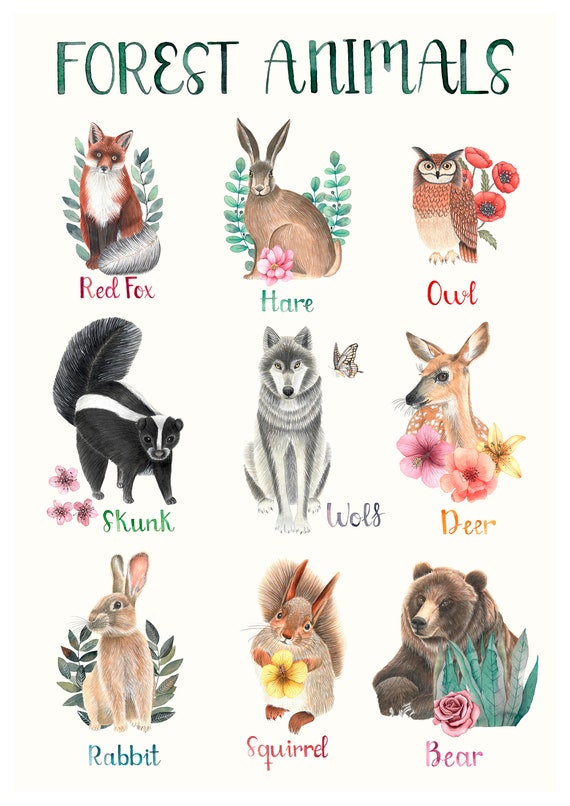 Cute Forest Animals Nursery Wall Art Print