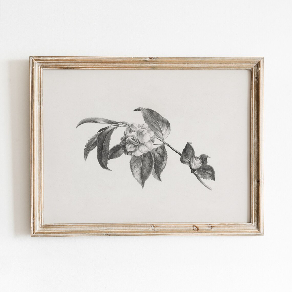 Blossom Sketch Vintage Botanical Art Print
