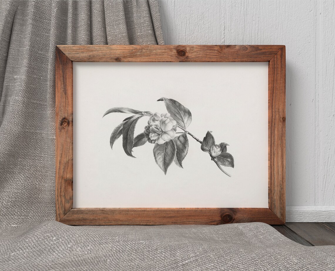 Blossom Sketch Vintage Botanical Art Print - Image 3