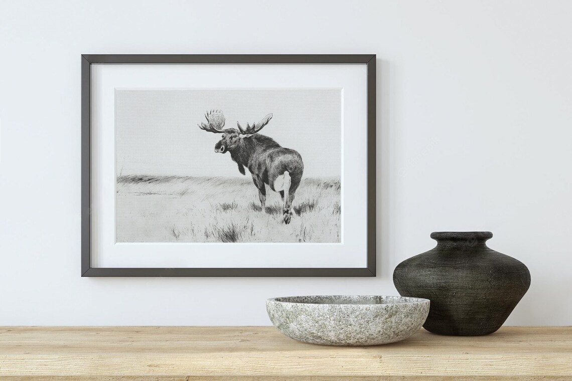 Moose In Field Vintage Wildlife Sketch Art Print - Image 2