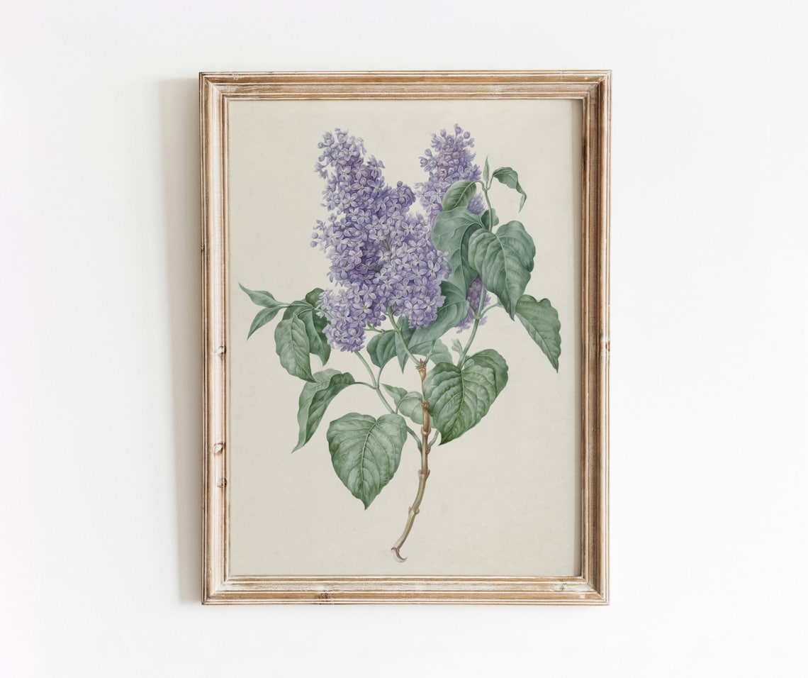 Lilacs Vintage Botanical Art Print, Purple Floral Still Life