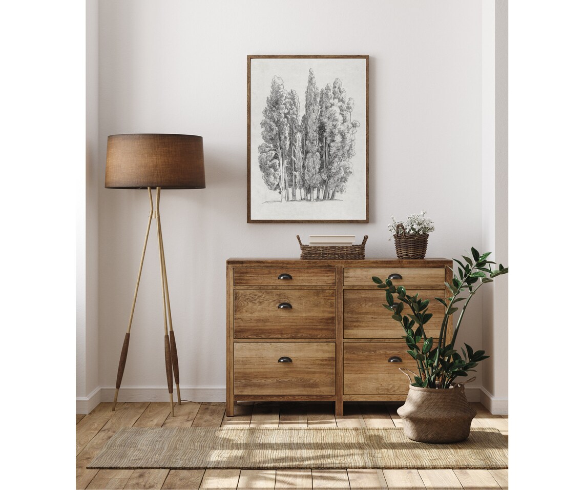 Cypress Tree Vintage Black and White Art Print - Image 3