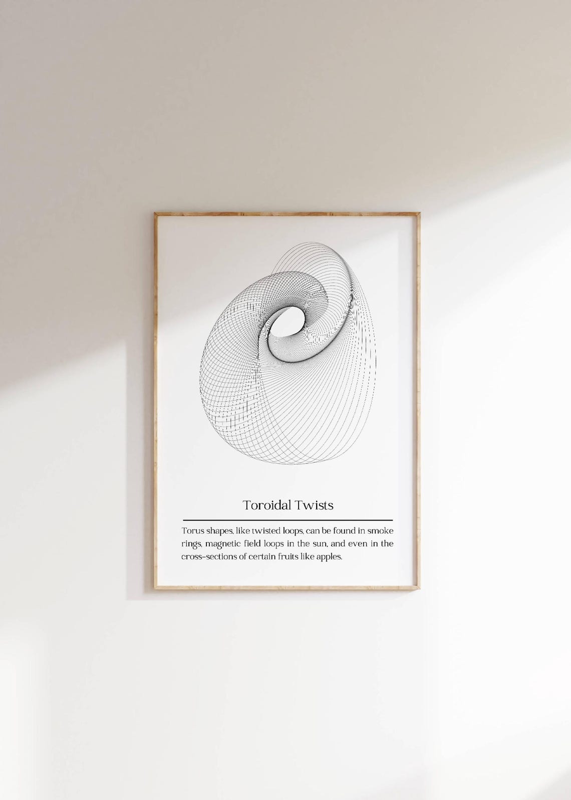 Toroidal Twists Parametric Torus Wireframe Minimalist Art Decor Poster