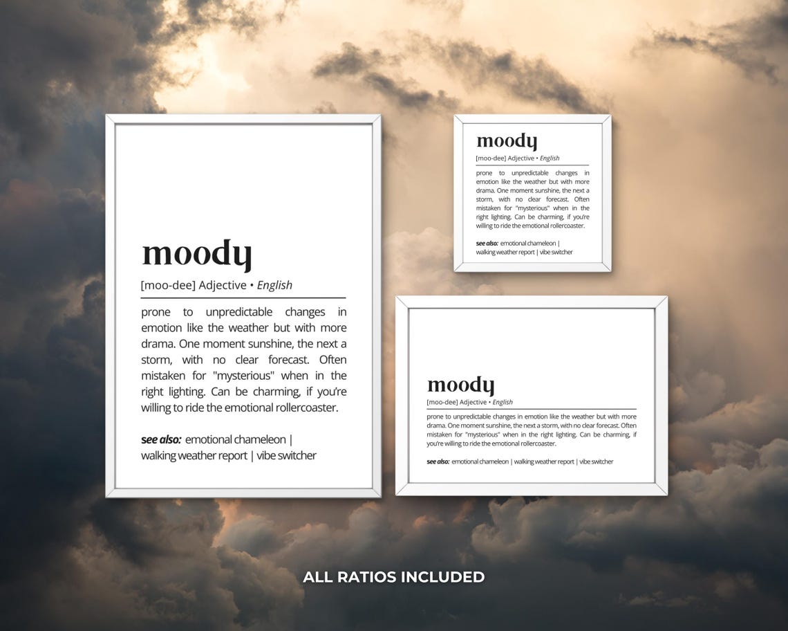 Moody Definition Emotional Rollercoaster Humor Dictionary Wall Art - Image 3