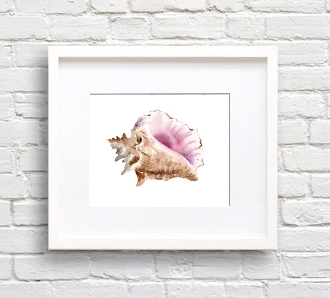 Sea Shell Conch Watercolor Art Print, Bathroom Decor