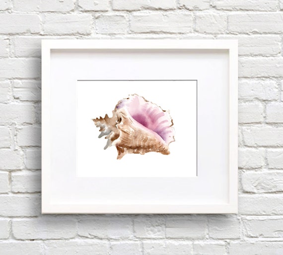 Sea Shell Conch Watercolor Art Print, Bathroom Decor