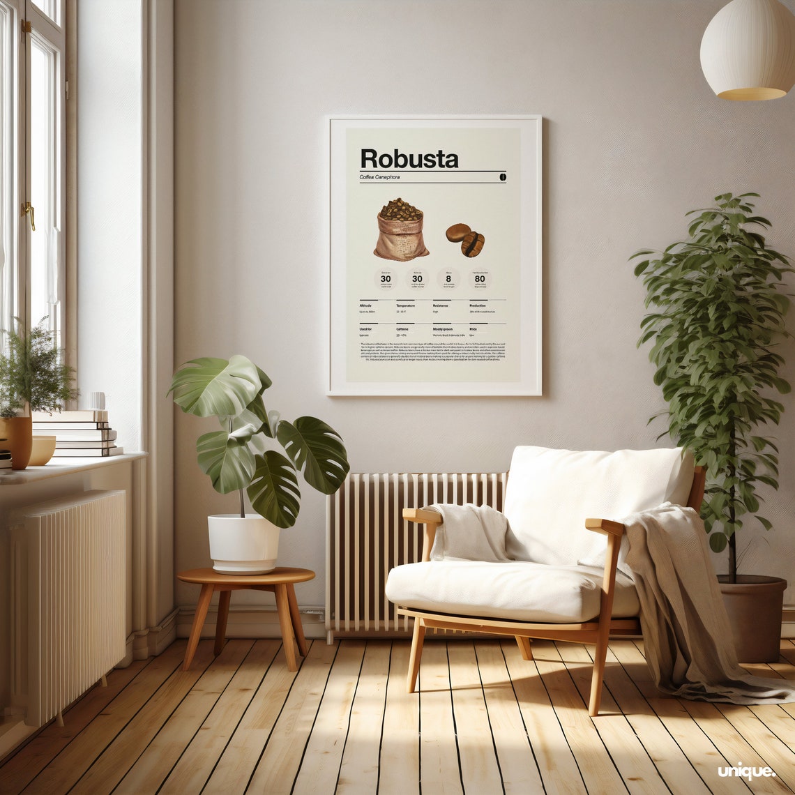 Robusta Coffee Infographic Poster with Coffea Canephora Facts - Image 2