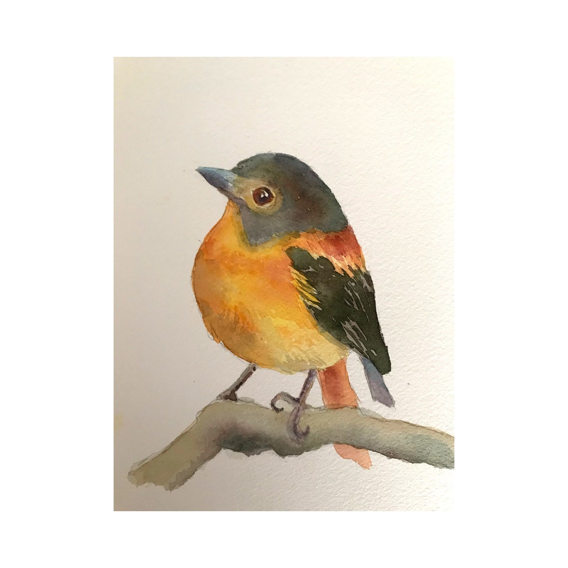 Chubby Little Bird With Orange Breast Watercolor Bird Poster - Image 2
