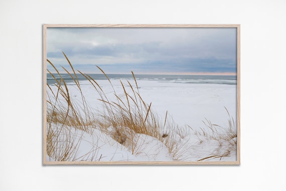 White Sand Beach Sea Grass Photo Poster Muted Coastal Winter Wall Decor