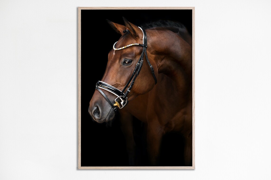 Brown Horse Photography Portrait, Rustic Farmhouse Art Print