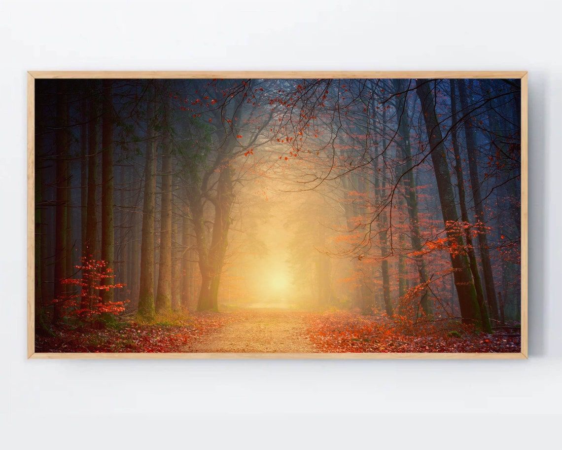 Misty Autumn Forest Path In Golden Light Warm Magical Glow Poster