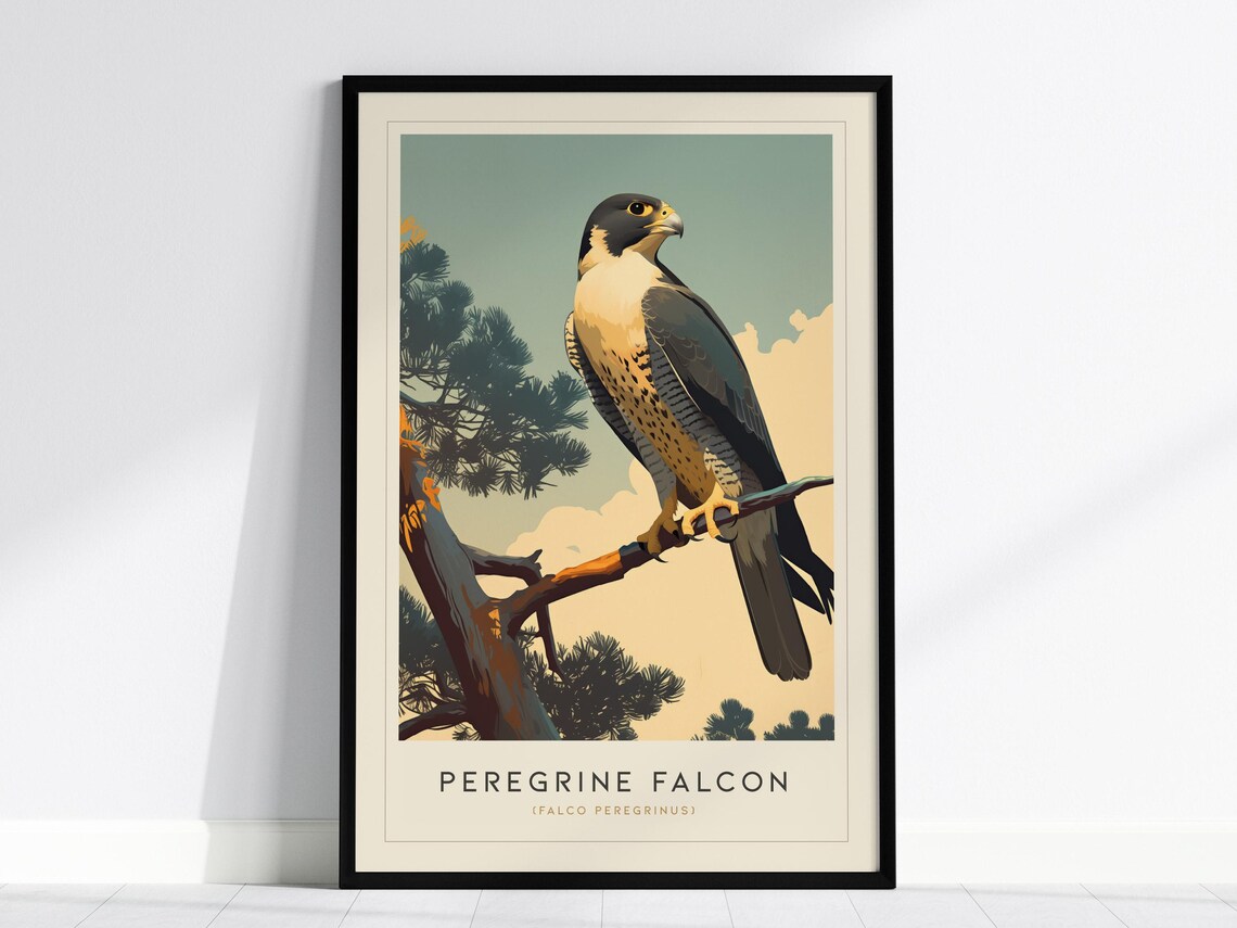Peregrine Falcon Modern Bird Of Prey Art Print