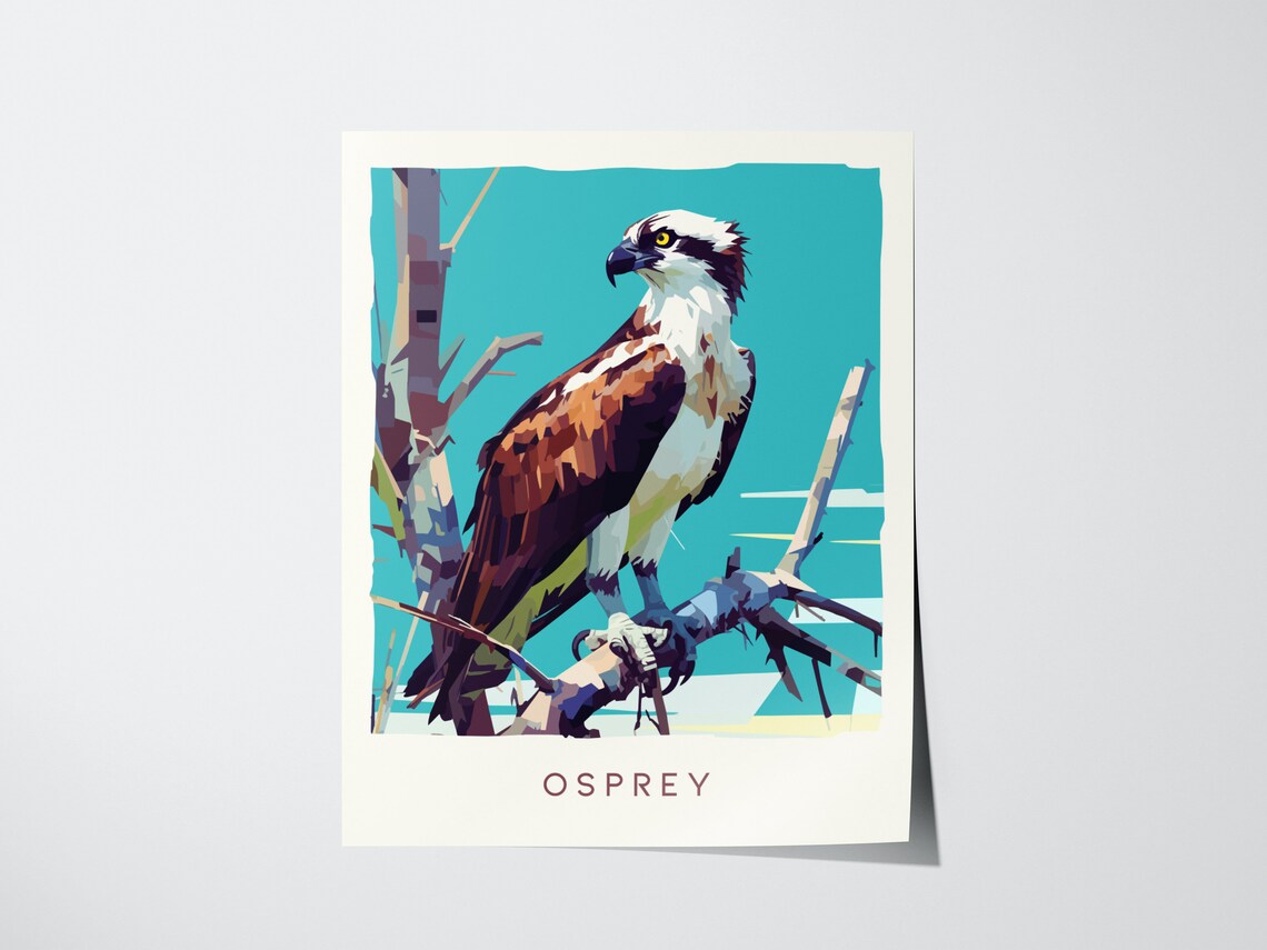 Osprey Print Florida Bird Wildlife Poster, Beach Decor