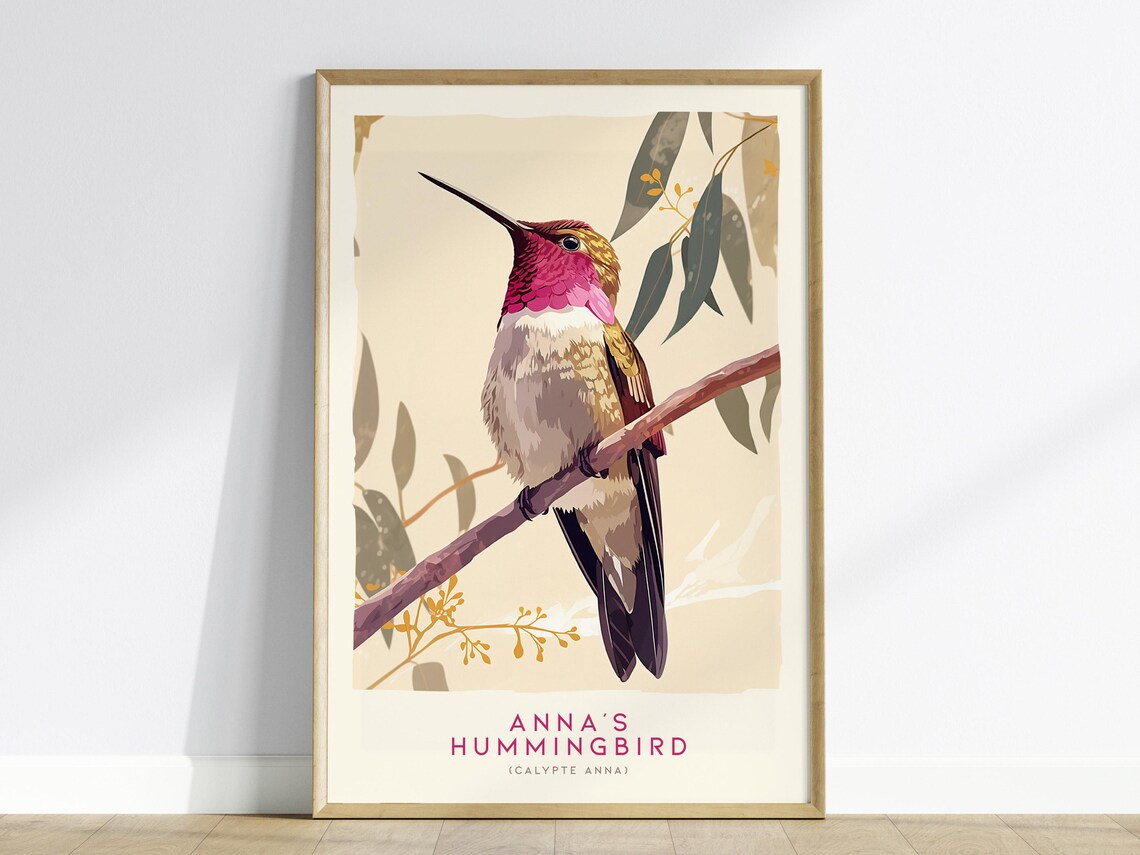 Anna's Hummingbird Modern Wildlife Art Print