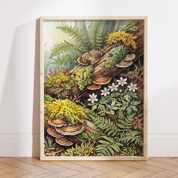Woodland Fern Mushroom Vintage Botanical Forest Illustration
