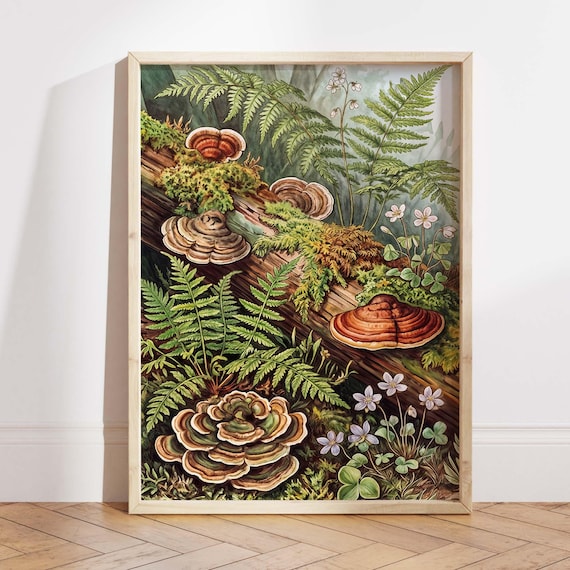 Woodland Botanical Art Print, Mossy Log Fungi Ferns