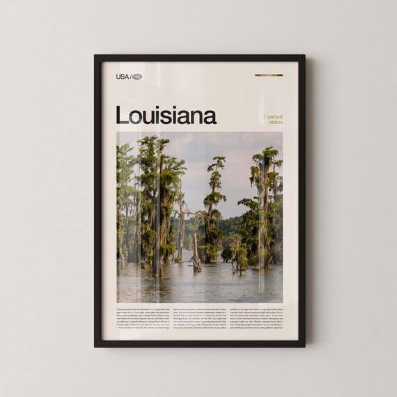 Louisiana Bayou Cypress Swamp Spanish Moss Scenic Photography Travel Poster