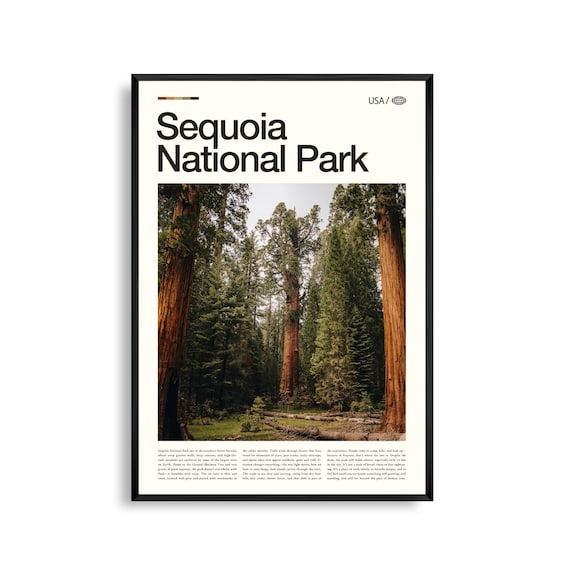 Sequoia National Park Giant Redwood Forest Photo Travel Poster