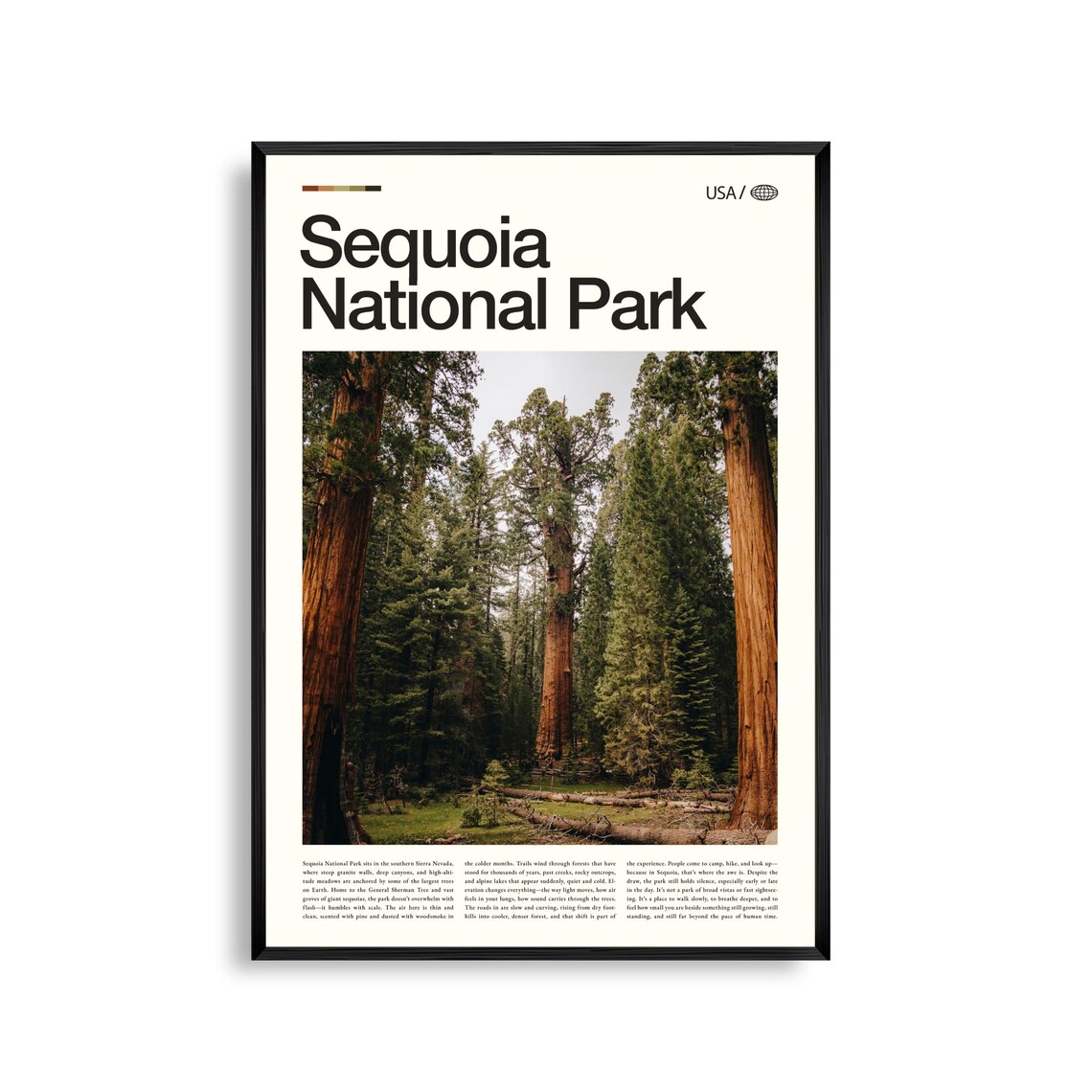 Sequoia National Park Giant Redwood Forest Photo Travel Poster