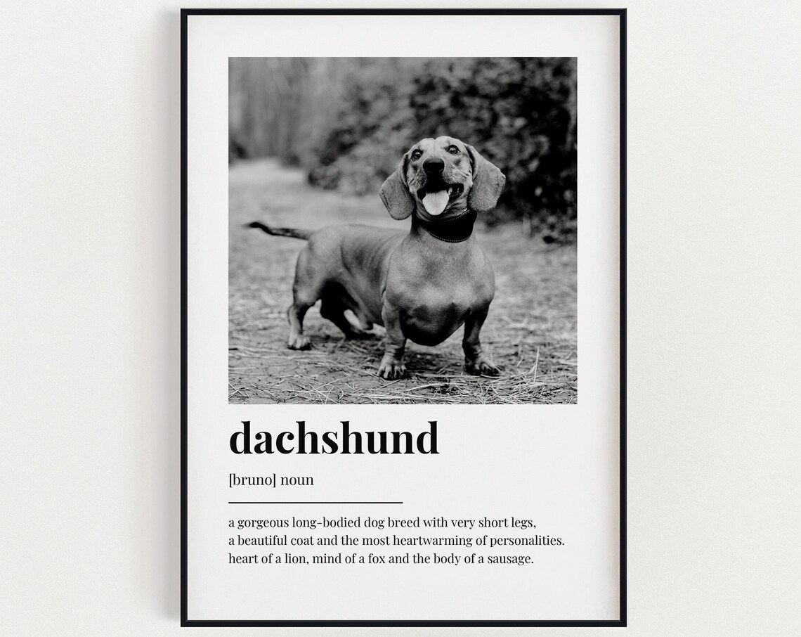 Personalized Dachshund Definition Art Print