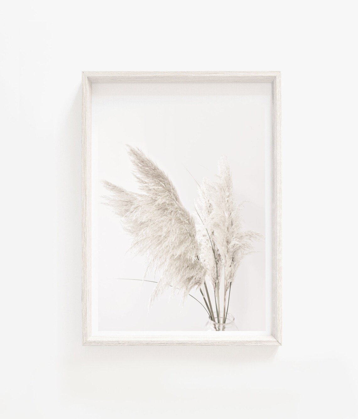 Pampas Grass Botanical Art Print, Neutral Decor