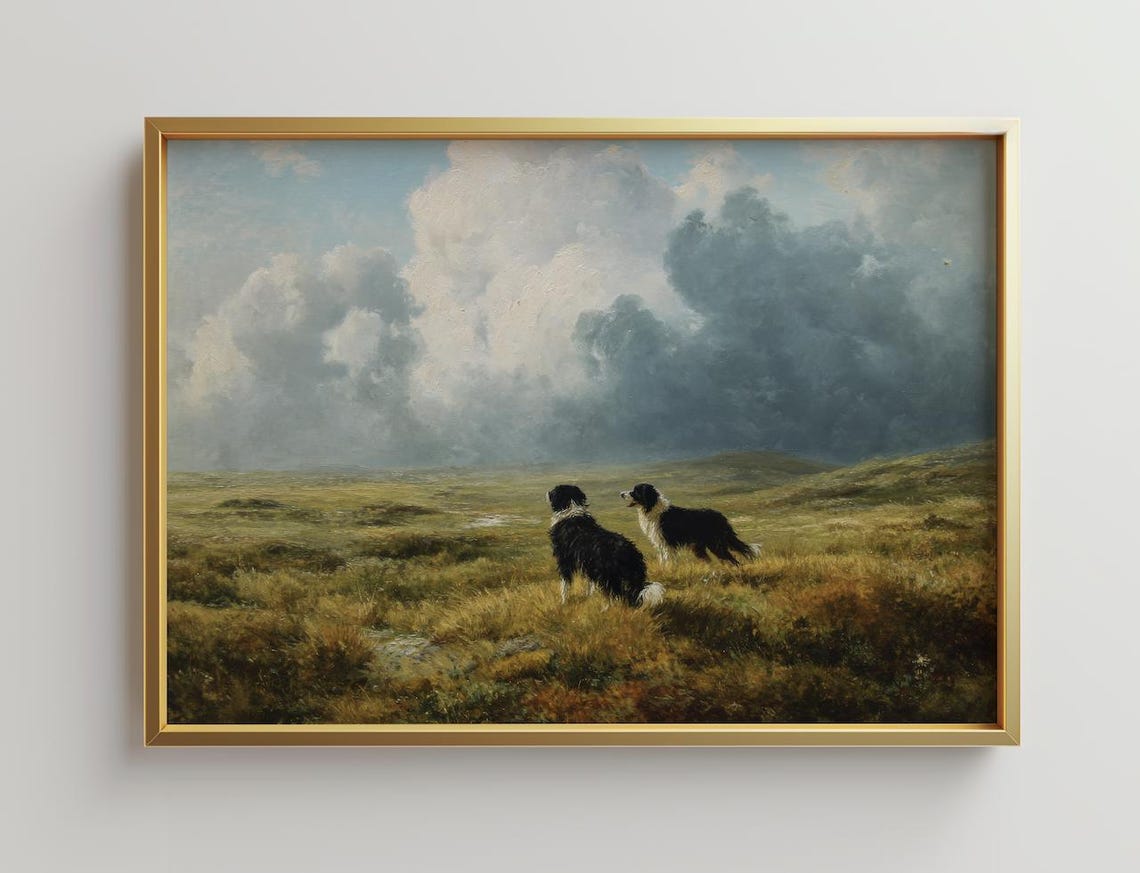 Border Collies In Field Art Print